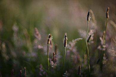 经典复古FPS《黄昏》现已登陆PS4美服商店